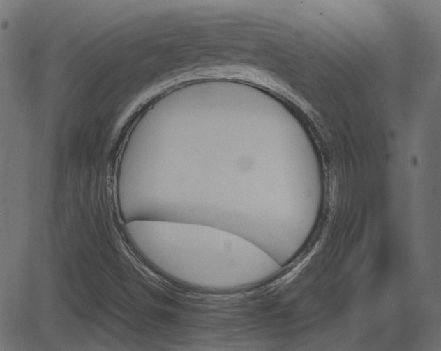 X0000082951498200702011035
