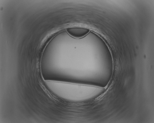X0000082951499200702011035