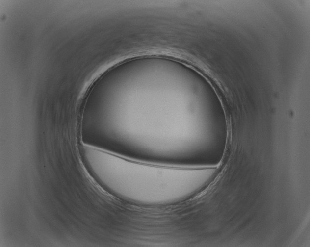 X0000082951500200702011035