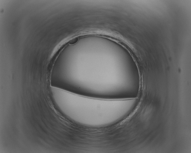 X0000082951501200702011035