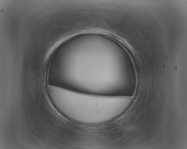 X0000082951504200702011035