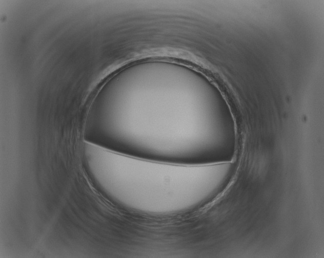 X0000082951505200702011035