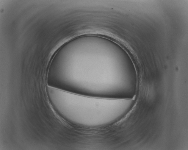 X0000082951513200702011035
