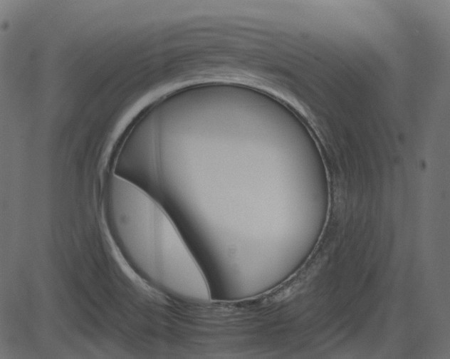 X0000082951515200702011035