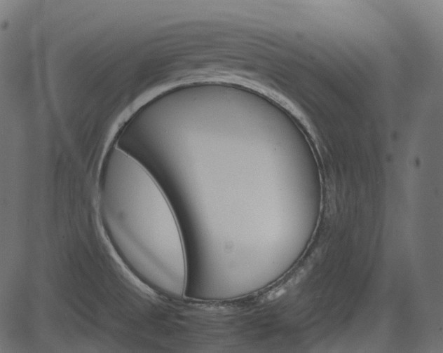 X0000082951525200702011035