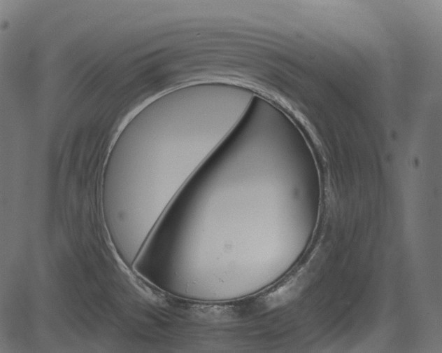 X0000082951529200702011035