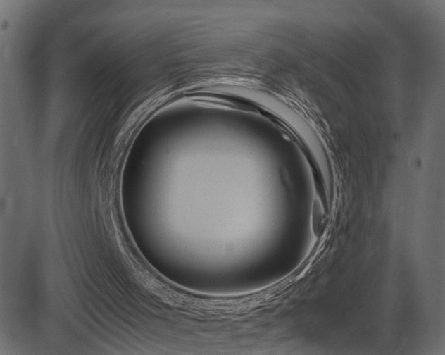 X0000082950001200702011254