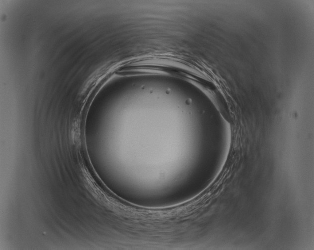 X0000082950002200702011254