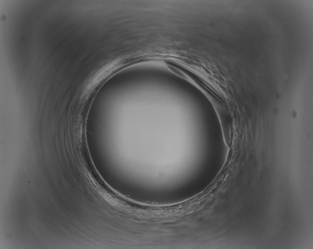 X0000082950005200702011254