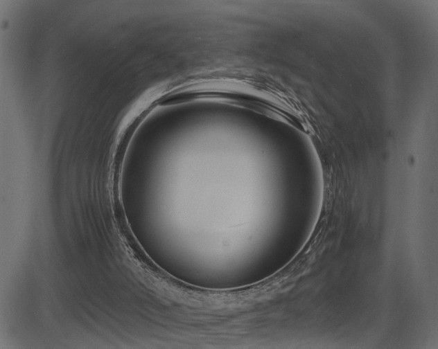 X0000082950006200702011254