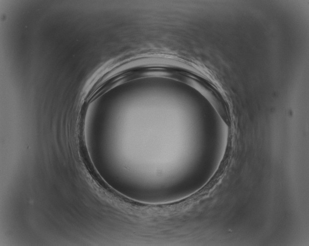 X0000082950007200702011254