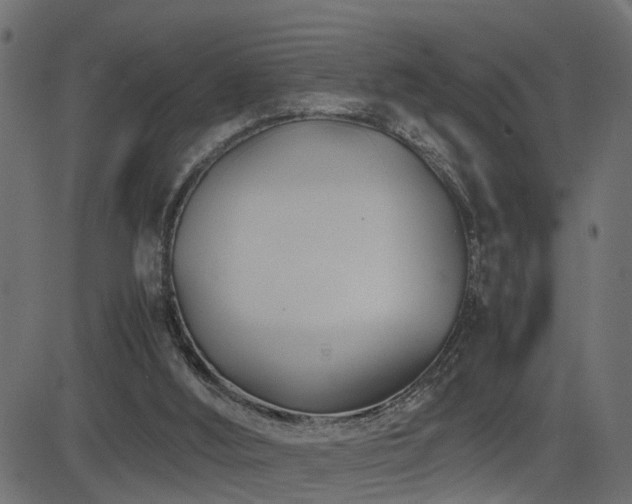 X0000082950012200702011254