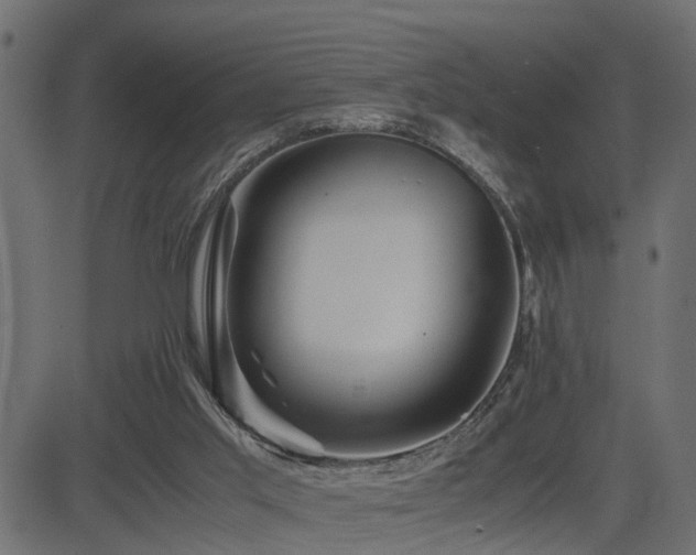 X0000082950013200702011254
