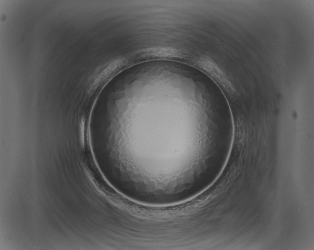 X0000082950014200702011254