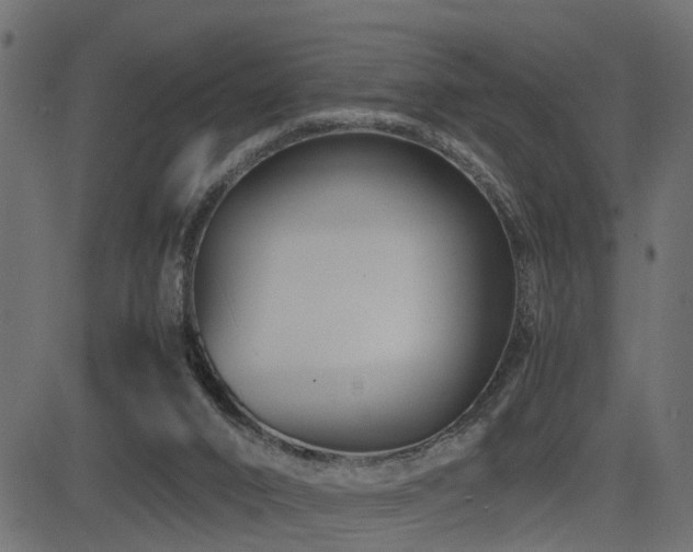 X0000082950016200702011254