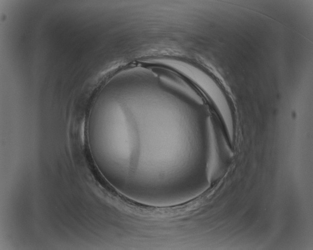 X0000082950019200702011254