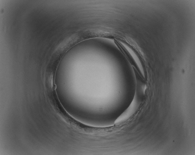 X0000082950021200702011253