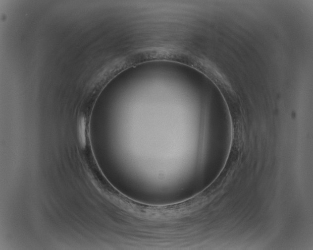 X0000082950022200702011253