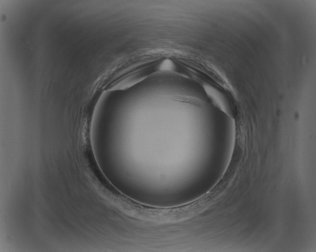 X0000082950023200702011253