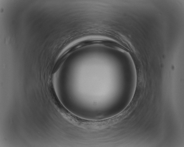 X0000082950025200702011253