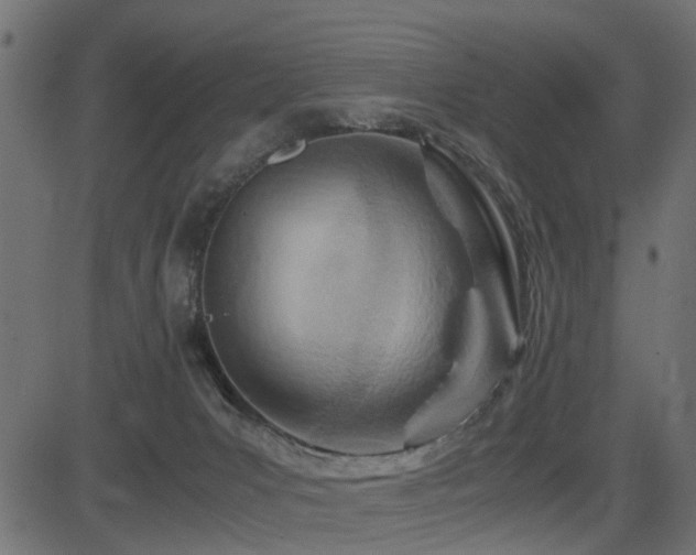 X0000082950031200702011253