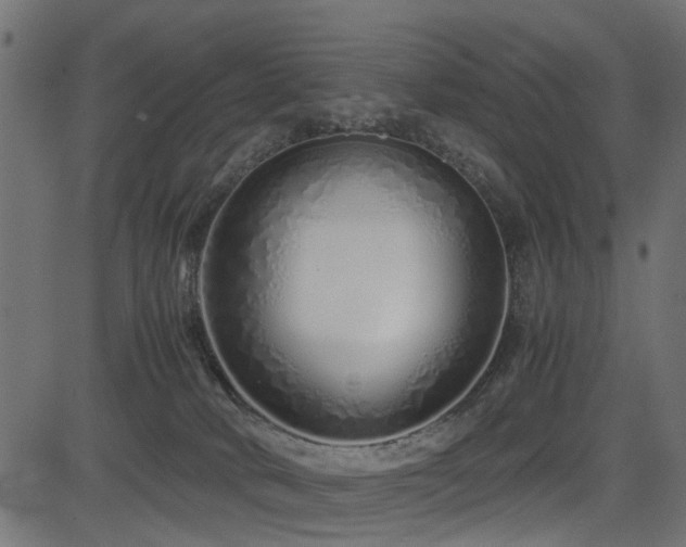 X0000082950034200702011253