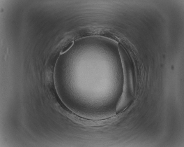 X0000082950035200702011253