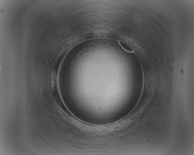 X0000082950038200702011253
