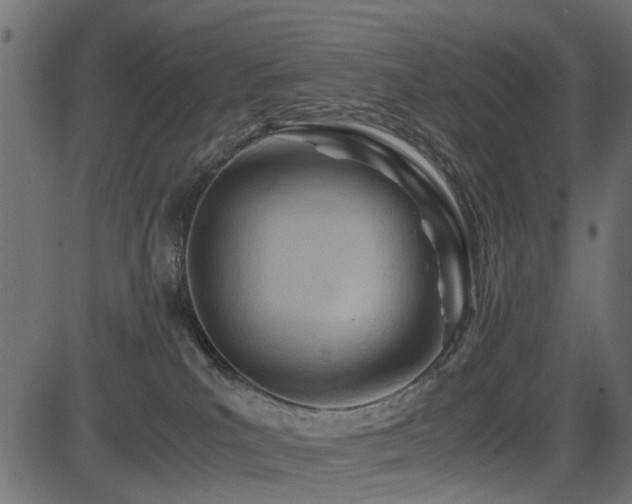 X0000082950039200702011253