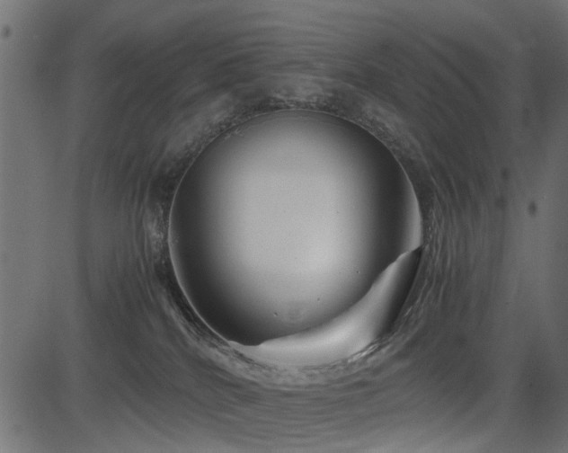 X0000082950040200702011253