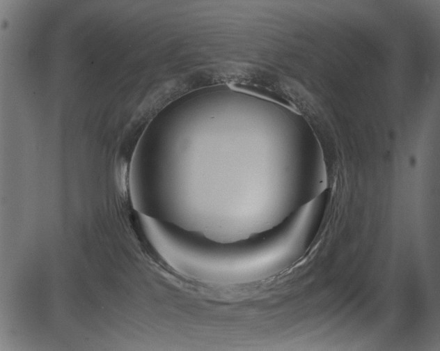 X0000082950041200702011253