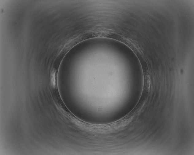 X0000082950042200702011253