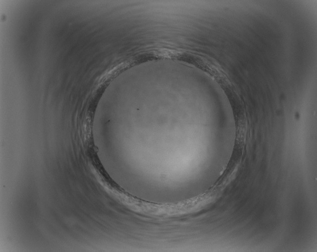 X0000082950043200702011253