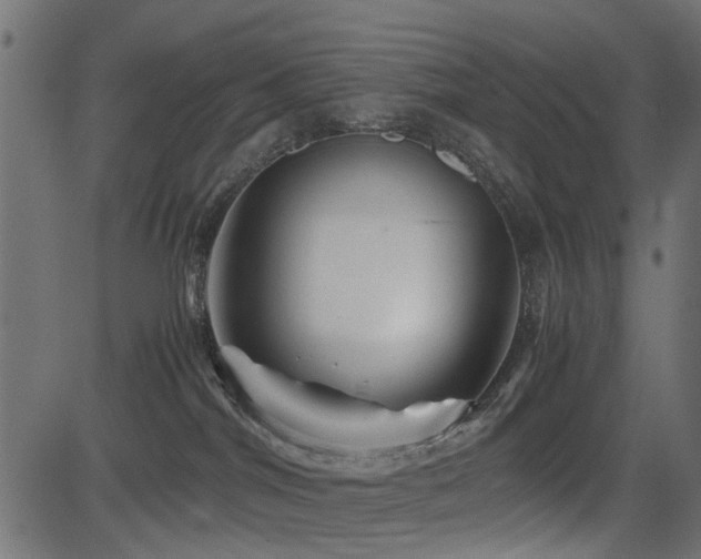 X0000082950044200702011253