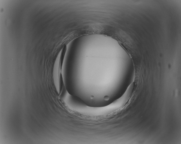 X0000082950045200702011253