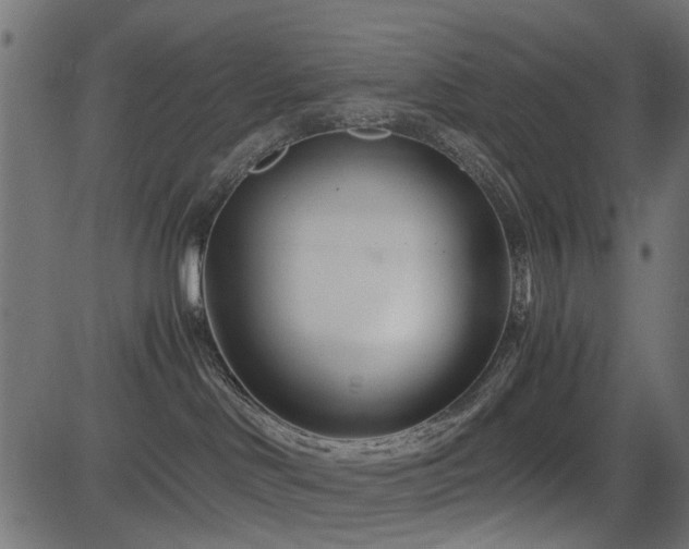 X0000082950046200702011253
