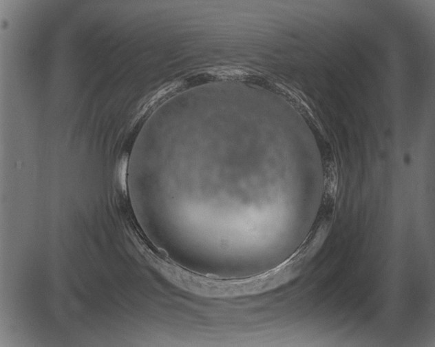 X0000082950047200702011253