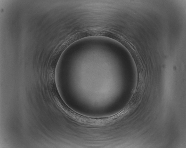 X0000082950048200702011253
