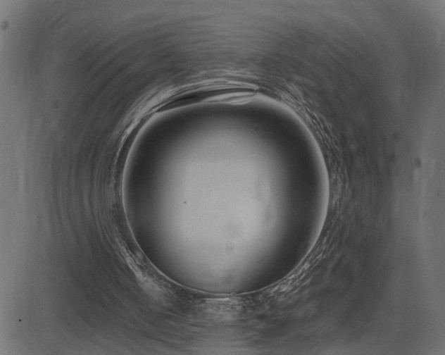 X0000082950050200702011252