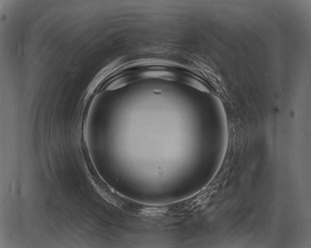 X0000082950051200702011252