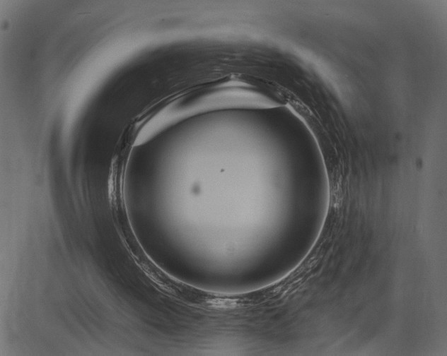 X0000082950052200702011252