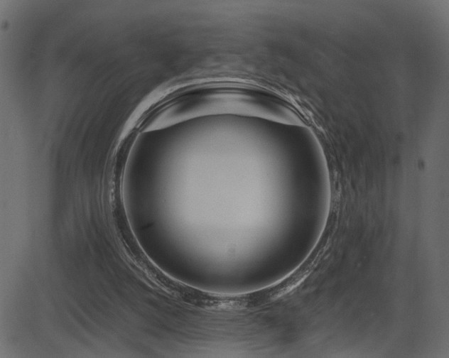 X0000082950056200702011252