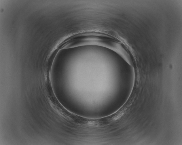 X0000082950060200702011252