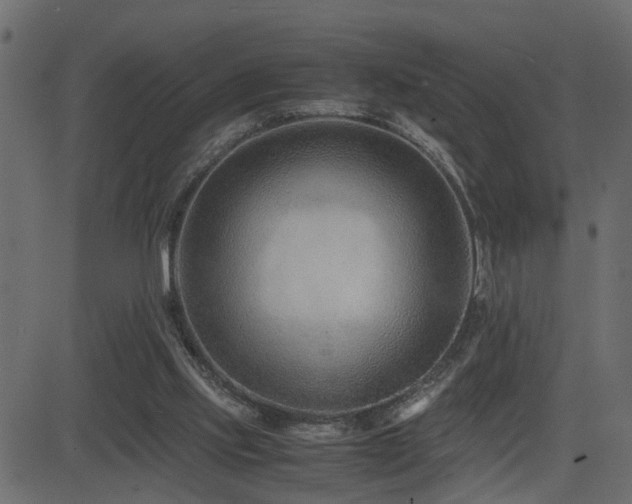 X0000082950061200702011252
