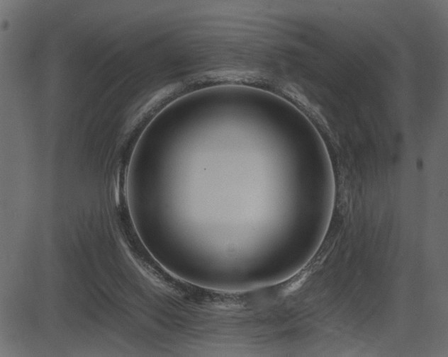 X0000082950062200702011252