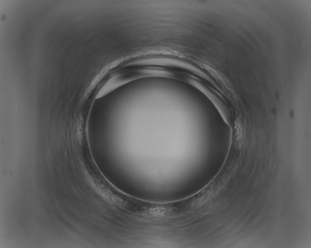 X0000082950064200702011252