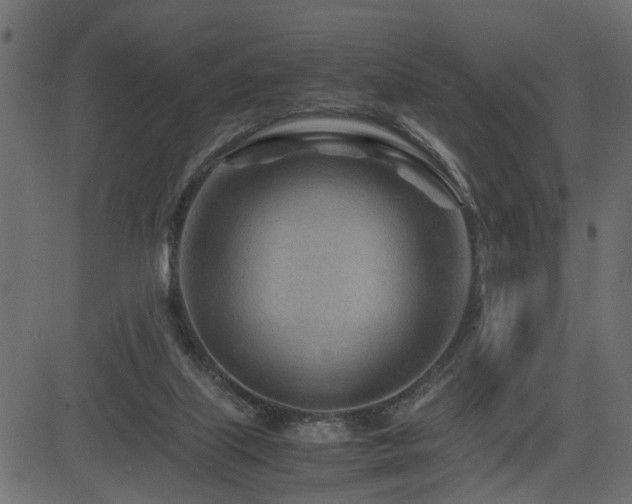 X0000082950067200702011253