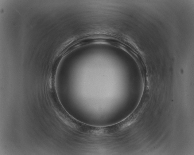 X0000082950068200702011253