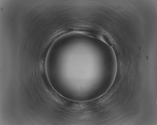 X0000082950071200702011253