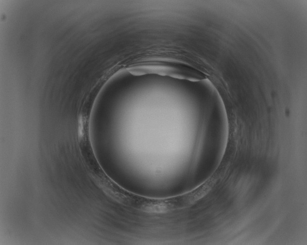 X0000082950075200702011253